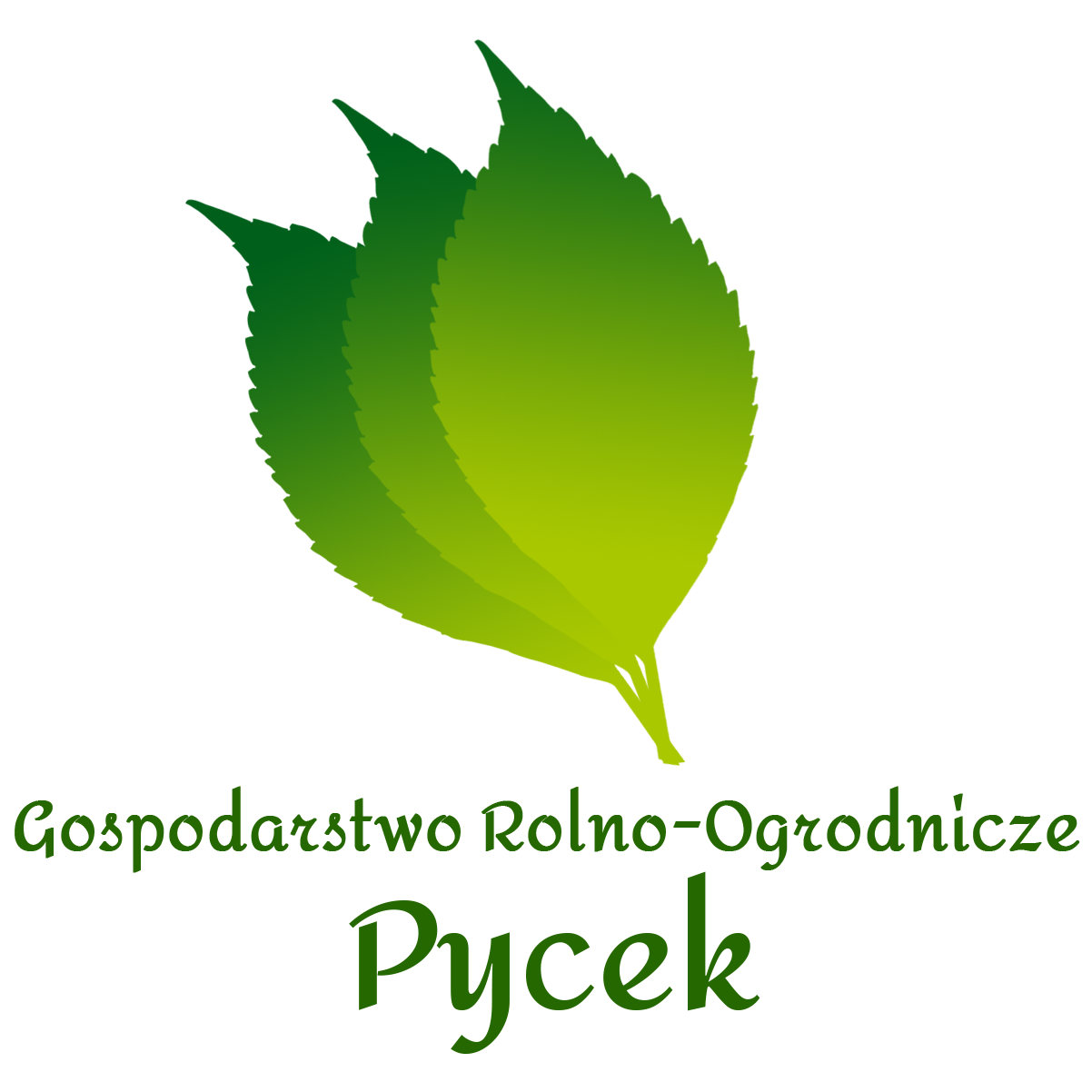 Gospodarstwo Rolno-Ogrodnicze Pycek